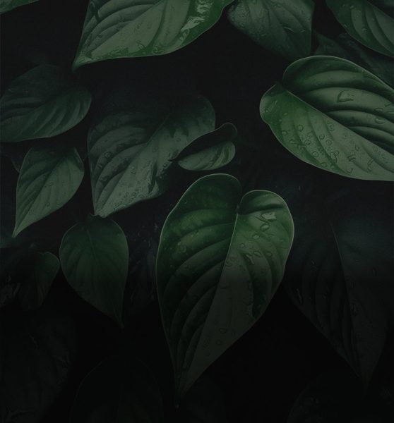 Organizing Your Home: Tips for Creating Sancity slider img 1